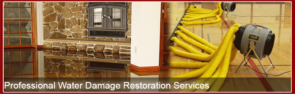 Professional Water Damage Restoration Services